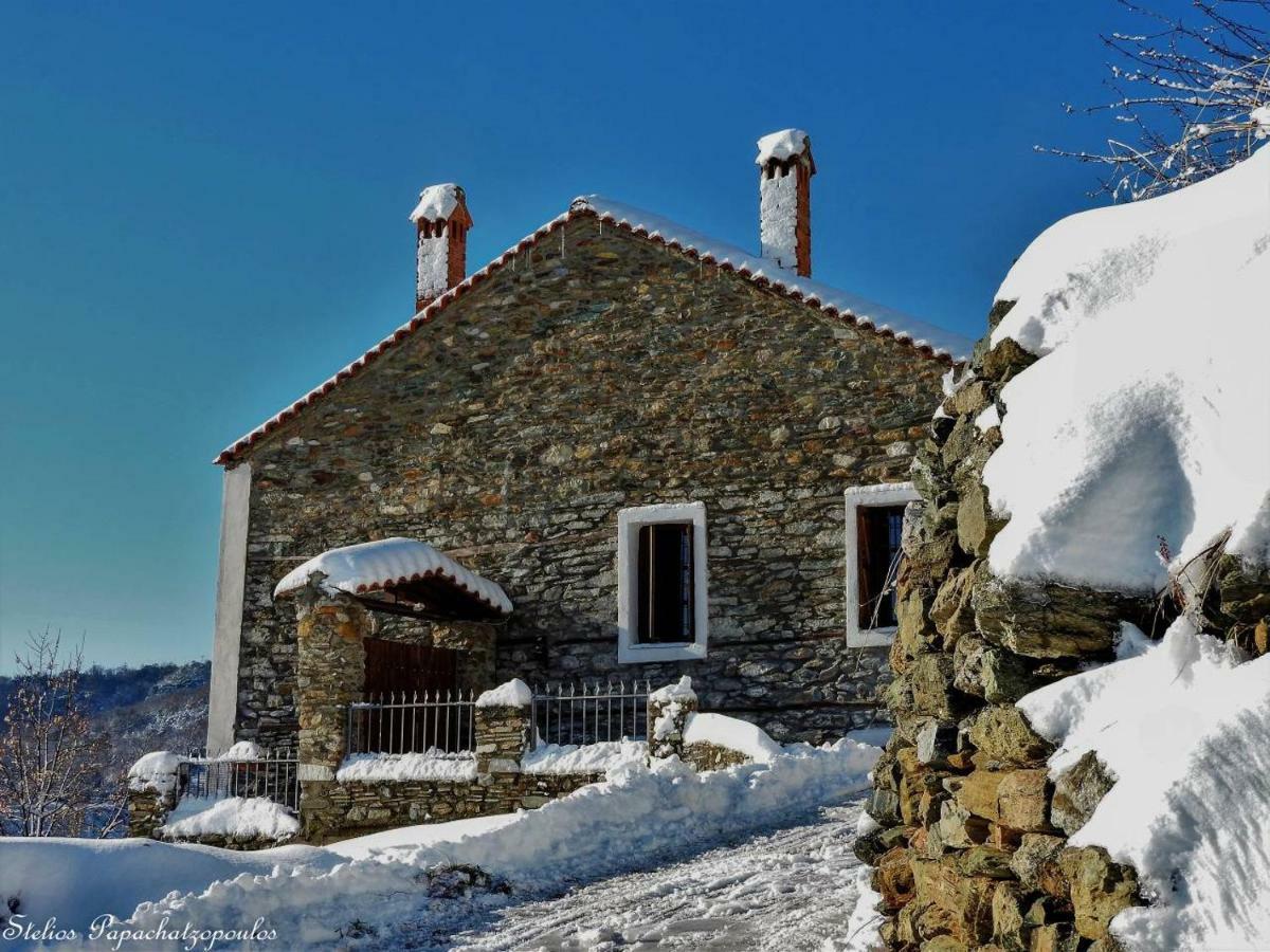 Villa Mansion Philoktitis