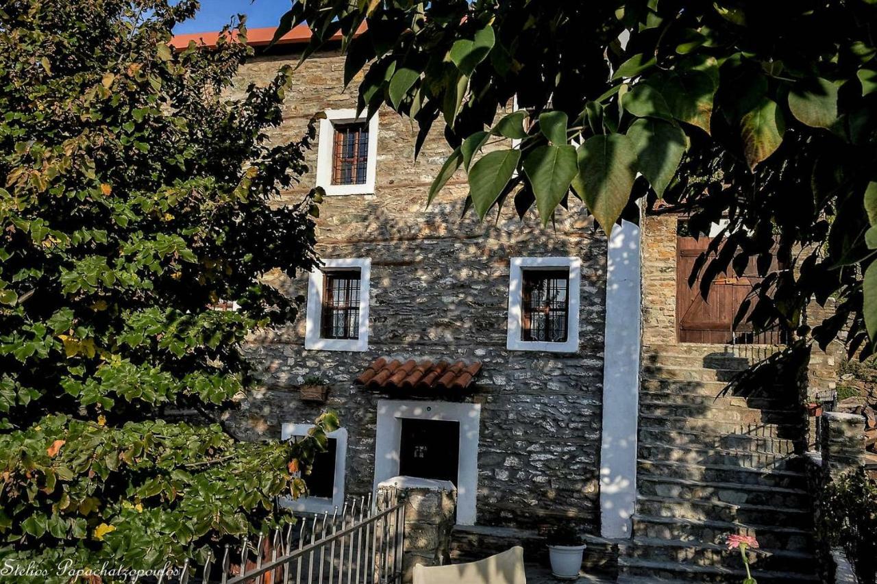 Villa Mansion Philoktitis *