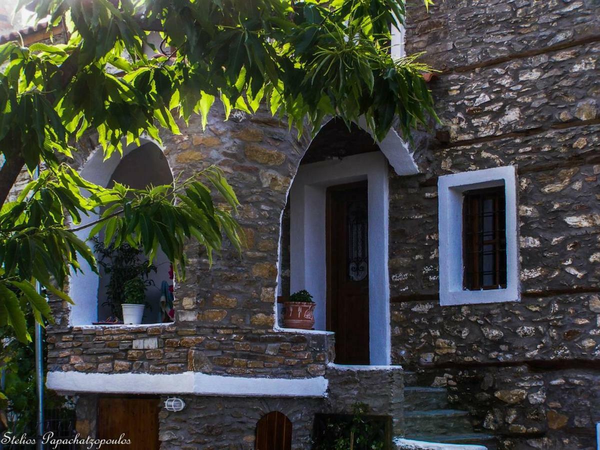 Villa Mansion Philoktitis